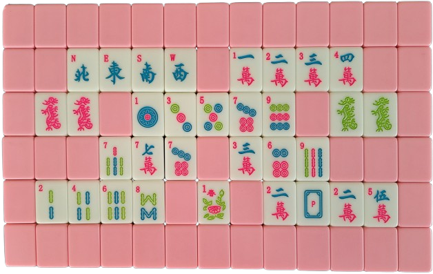 American Mahjong NJML categories displayed with tiles: Winds, Red and Green Dragons, Consecutive Numbers (1-4), 13579, Like Numbers with 7s, 2468, Flowers, and 2025 Year hand.